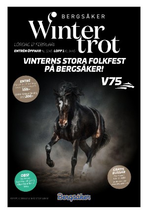 sundsvallstidning_kt-20240210_000_00_00_003.pdf