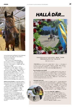 sundsvallstidning_kt-20240817_000_00_00_019.pdf