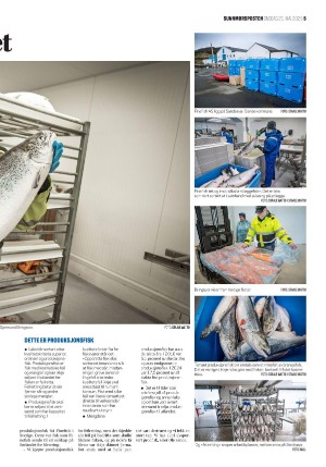 sunnmorsposten-20250521_000_00_00_005.pdf