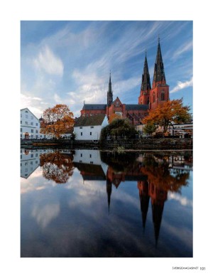 sverigemagasinet-20240124_001_00_00_101.pdf