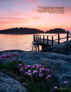 sverigemagasinet-20240124_001_00_00_111.pdf