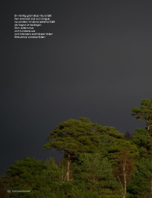 sverigemagasinet-20240124_001_00_00_112.pdf