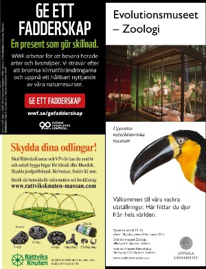 sverigemagasinet-20240424_004_00_00_078.pdf