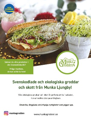 sverigemagasinet-20240424_004_00_00_090.pdf