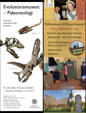 sverigemagasinet-20240424_004_00_00_125.pdf