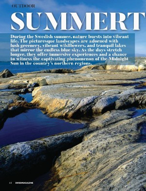 swedmagazine-20240328_001_00_00_044.pdf