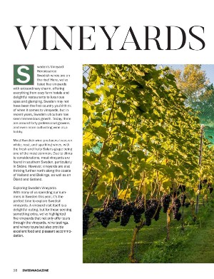 swedmagazine-20240703_002_00_00_058.pdf