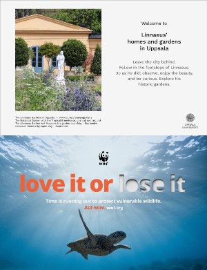 swedmagazine-20250216_001_00_00_028.pdf
