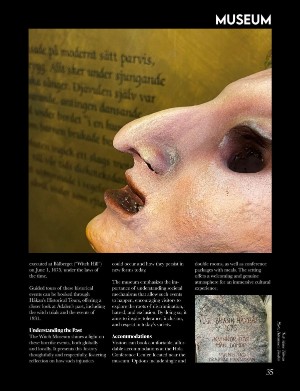 swedmagazine-20250216_001_00_00_035.pdf