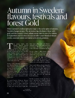 swedmagazine-20250815_003_00_00_038.pdf