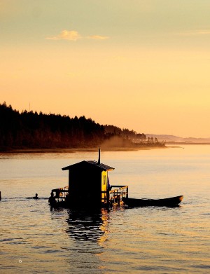 swedmagazine-20251115_004_00_00_006.pdf