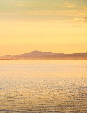 swedmagazine-20251115_004_00_00_007.pdf