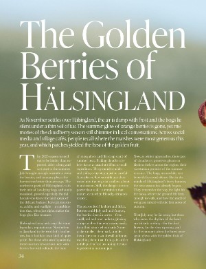 swedmagazine-20251115_004_00_00_034.pdf