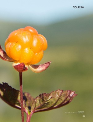 swedmagazine-20251115_004_00_00_035.pdf