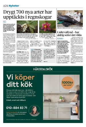 sydsvenskadagbladet_lund-20241205_000_00_00_024.pdf