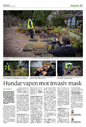 sydsvenskadagbladet_lund_b-20241130_000_00_00_007.pdf