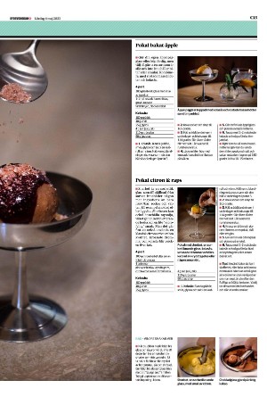 sydsvenskadagbladet_lund_c-20230506_000_00_00_013.pdf