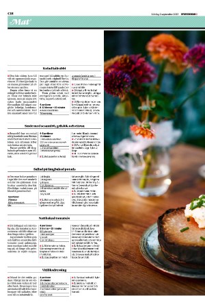 sydsvenskadagbladet_lund_c-20230902_000_00_00_018.pdf