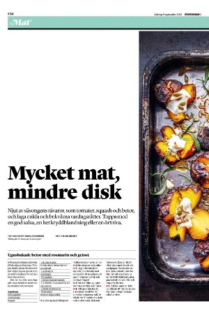 sydsvenskadagbladet_lund_c-20230909_000_00_00_014.pdf