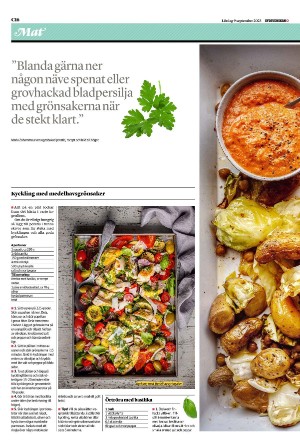 sydsvenskadagbladet_lund_c-20230909_000_00_00_016.pdf