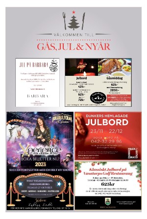 sydsvenskadagbladet_lund_c-20230917_000_00_00_024.pdf