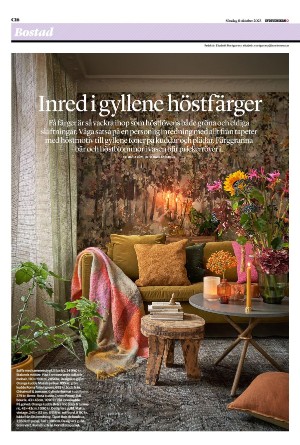 sydsvenskadagbladet_lund_c-20231008_000_00_00_016.pdf