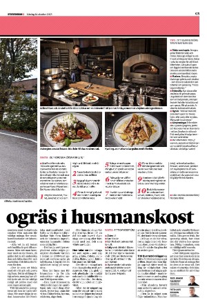 sydsvenskadagbladet_lund_c-20231014_000_00_00_005.pdf