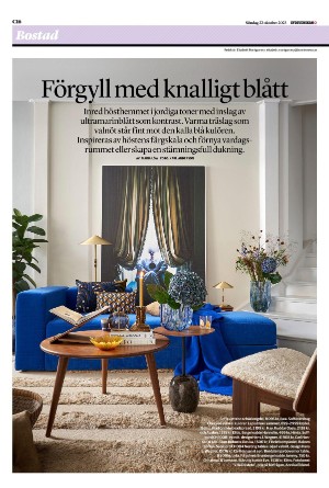 sydsvenskadagbladet_lund_c-20231022_000_00_00_016.pdf
