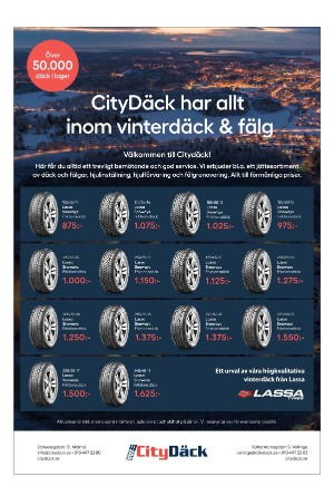 sydsvenskadagbladet_lund_c-20231028_000_00_00_021.pdf