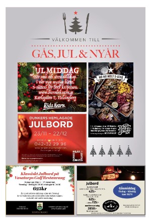 sydsvenskadagbladet_lund_c-20231029_000_00_00_024.pdf