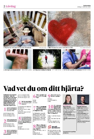 sydsvenskadagbladet_lund_c-20231111_000_00_00_002.pdf