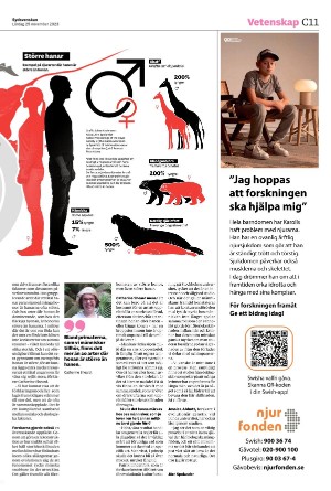 sydsvenskadagbladet_lund_c-20231125_000_00_00_011.pdf