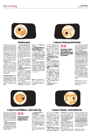 sydsvenskadagbladet_lund_c-20240309_000_00_00_006.pdf