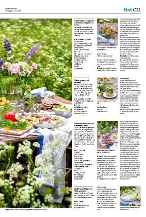 sydsvenskadagbladet_lund_c-20240615_000_00_00_011.pdf
