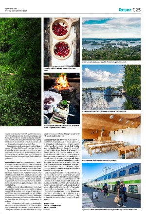 sydsvenskadagbladet_lund_c-20240915_000_00_00_025.pdf