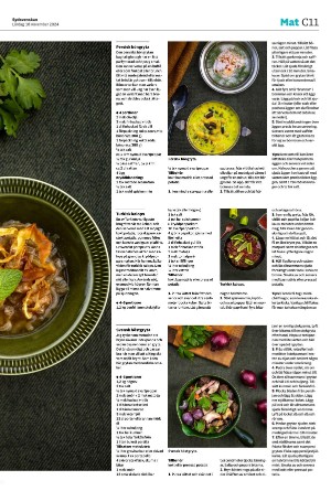 sydsvenskadagbladet_lund_c-20241116_000_00_00_011.pdf