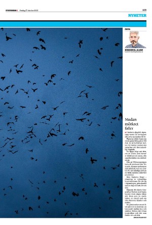 sydsvenskadagbladet_malmo-20231027_000_00_00_021.pdf