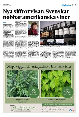 sydsvenskadagbladet_malmo-20250502_000_00_00_015.pdf