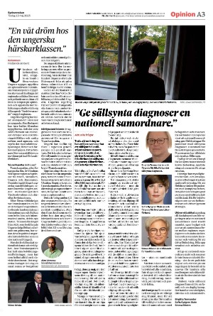 sydsvenskadagbladet_malmo-20250513_000_00_00_003.pdf