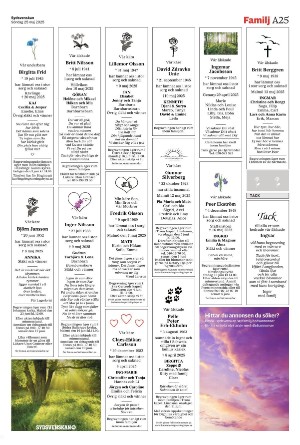 sydsvenskadagbladet_malmo-20250525_000_00_00_025.pdf