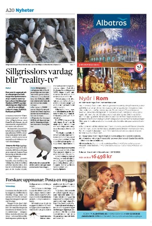sydsvenskadagbladet_malmo-20250526_000_00_00_020.pdf