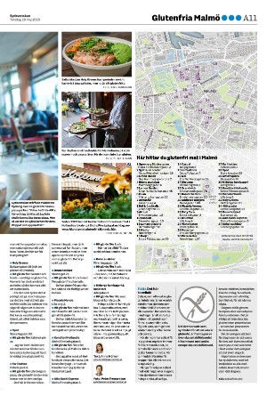 sydsvenskadagbladet_malmo-20250529_000_00_00_011.pdf