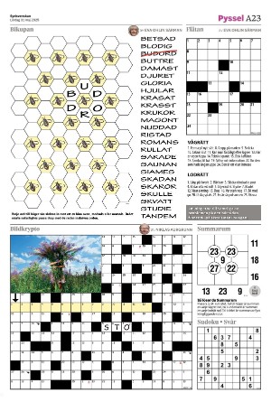 sydsvenskadagbladet_malmo-20250531_000_00_00_023.pdf