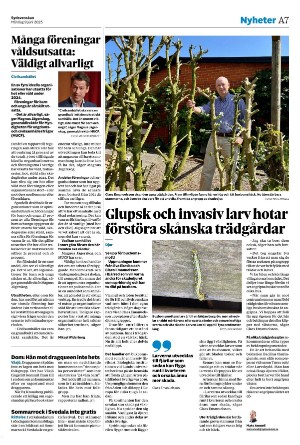 sydsvenskadagbladet_malmo-20250609_000_00_00_007.pdf