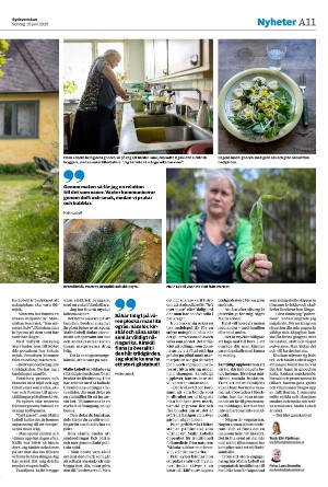 sydsvenskadagbladet_malmo-20250615_000_00_00_011.pdf