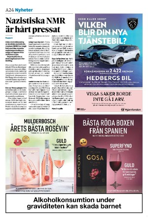 sydsvenskadagbladet_malmo-20250618_000_00_00_024.pdf