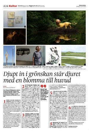 sydsvenskadagbladet_malmo-20250621_000_00_00_014.pdf