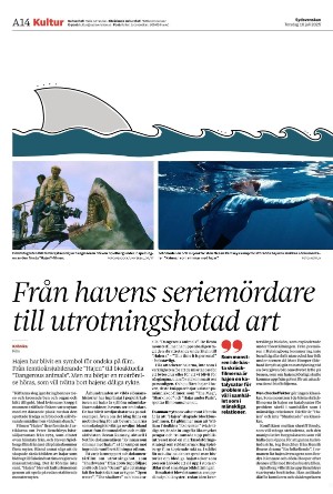 sydsvenskadagbladet_malmo-20250710_000_00_00_014.pdf