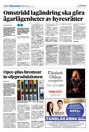 sydsvenskadagbladet_malmo-20250712_000_00_00_020.pdf