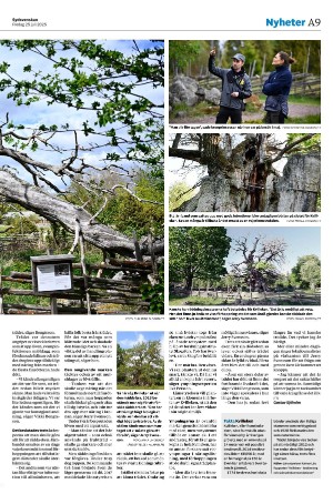 sydsvenskadagbladet_malmo-20250725_000_00_00_009.pdf